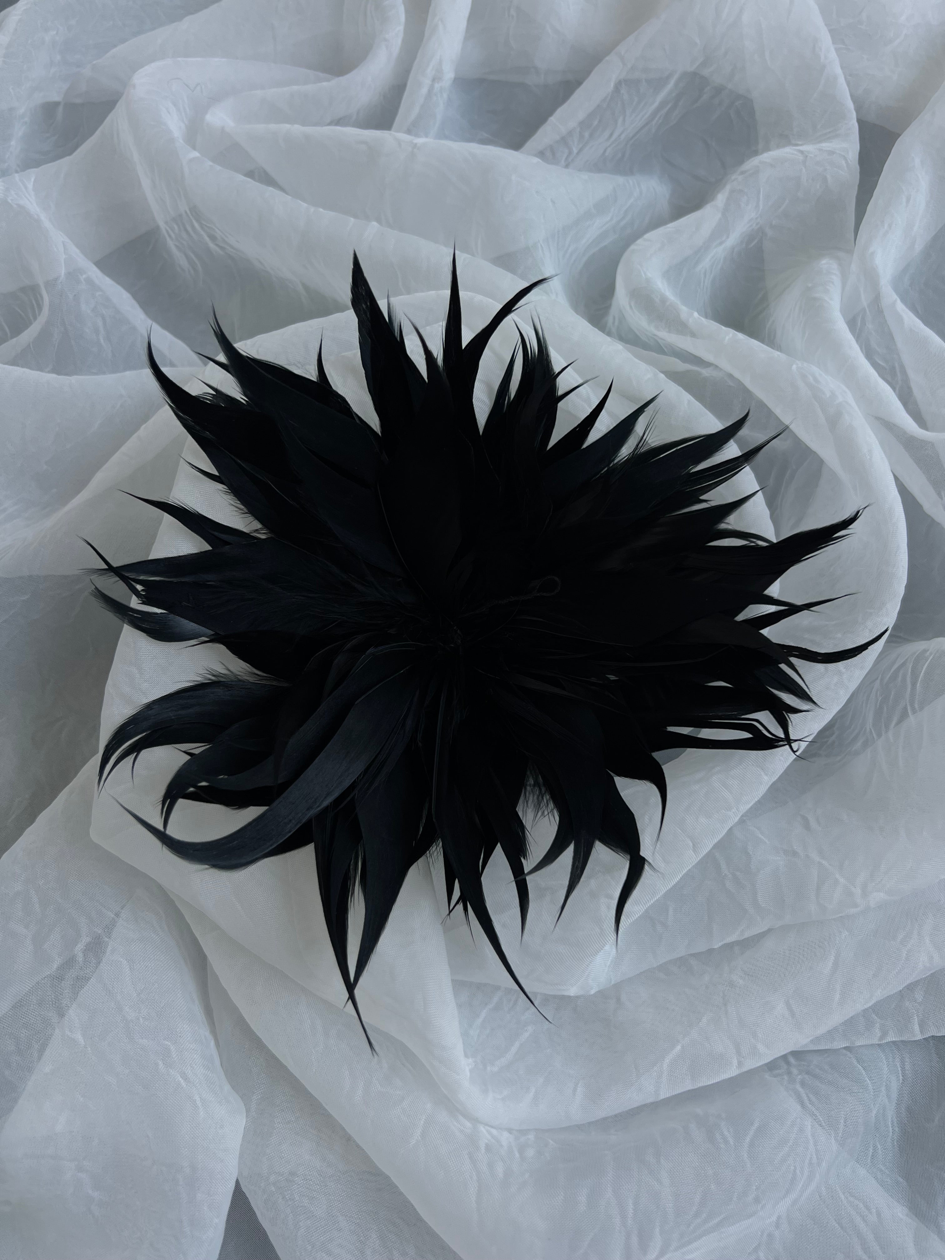 Broche plumas