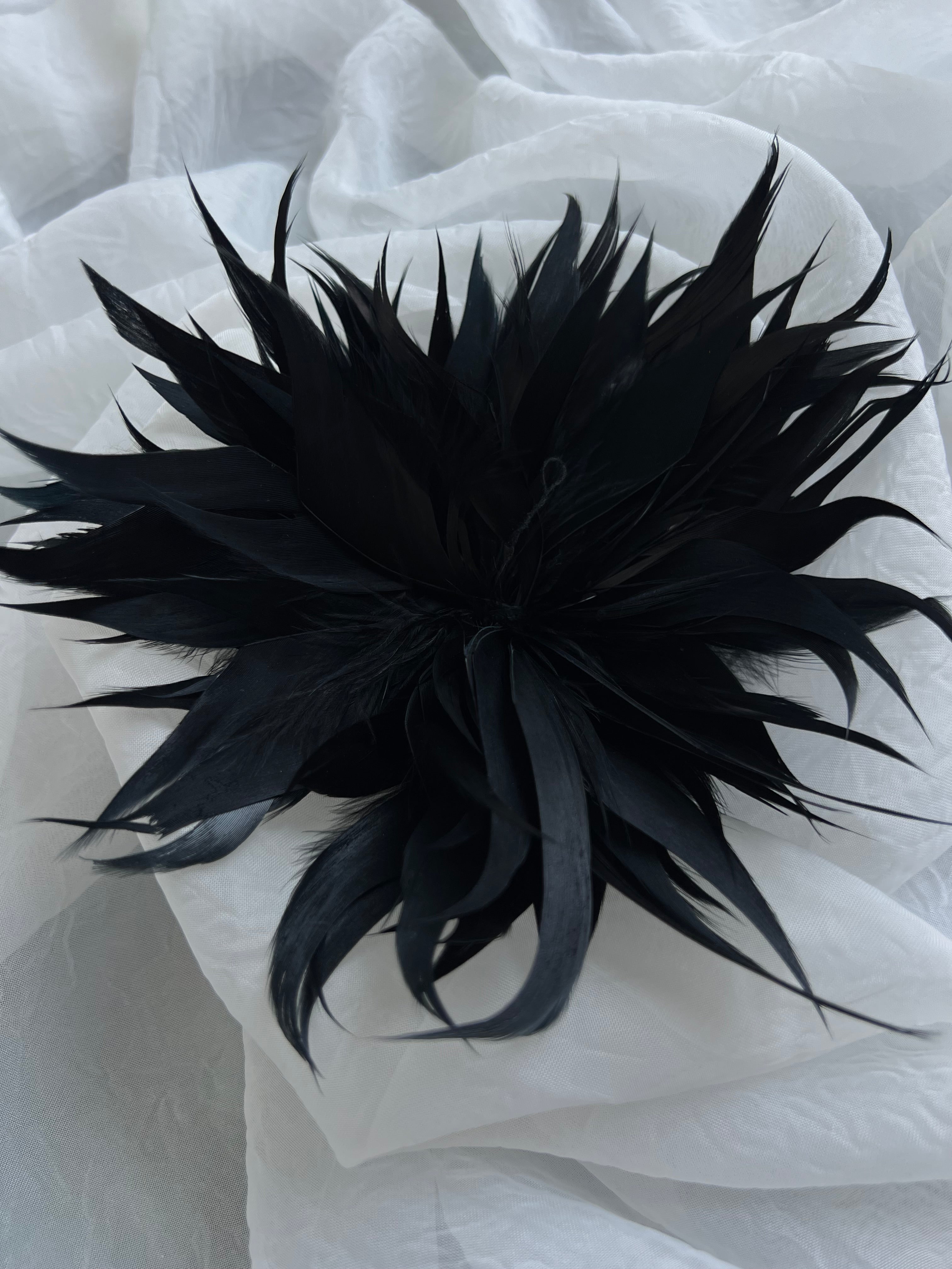 Broche plumas