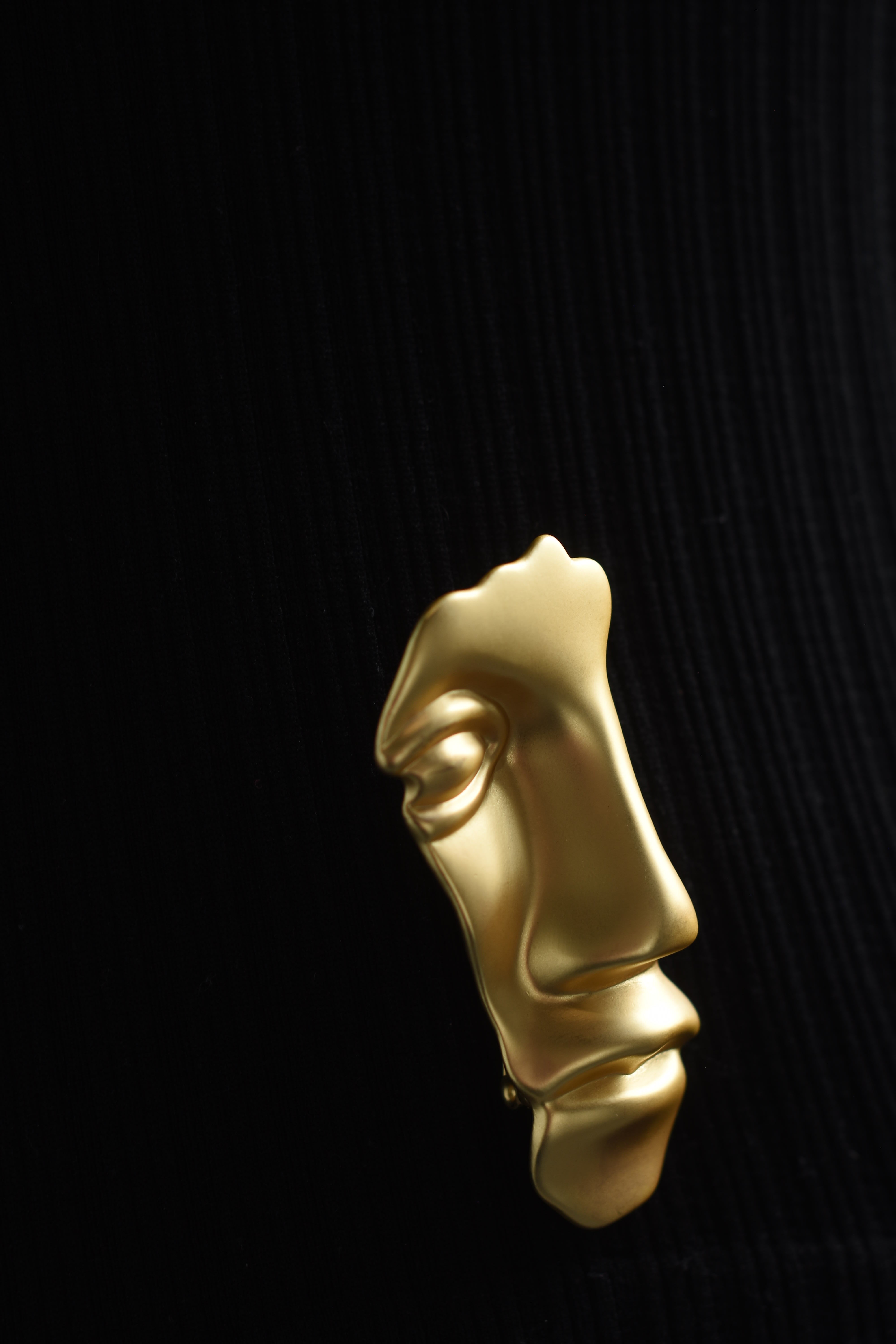 Broche rostro