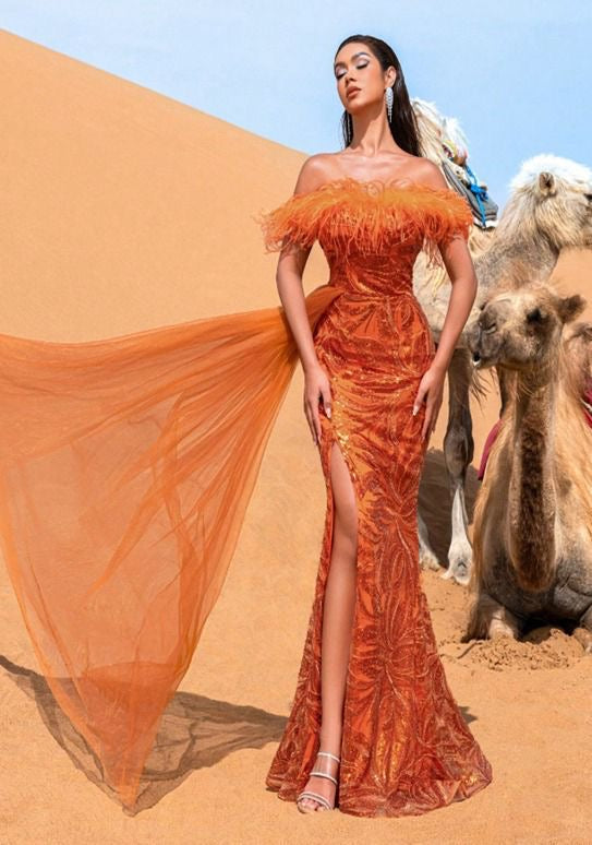 Vestido largo lentejuelas, plumas y tulle Naranja