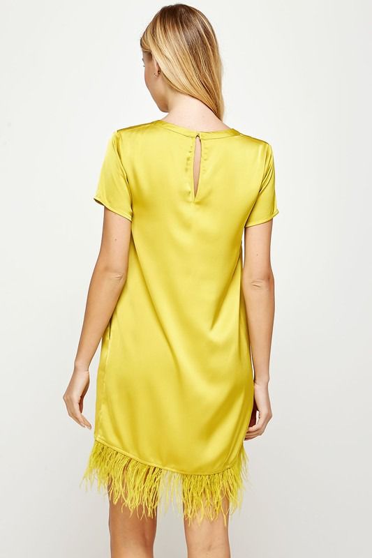 Vestido manga corta con plumas Lime
